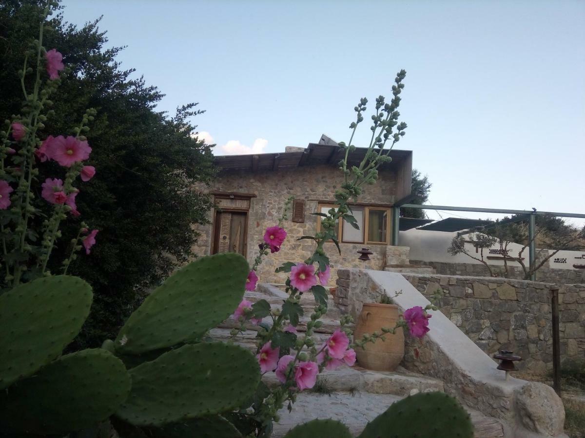 Dream Residence Agios Ioannis  Zewnętrze zdjęcie